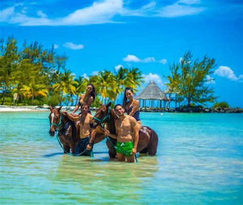 swim horse punta cana|punta cana tripadvisor.